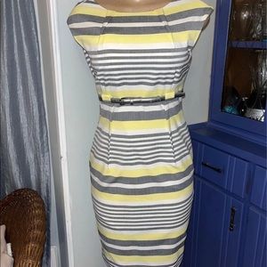 Calvin Klein Belted Stripe Dress